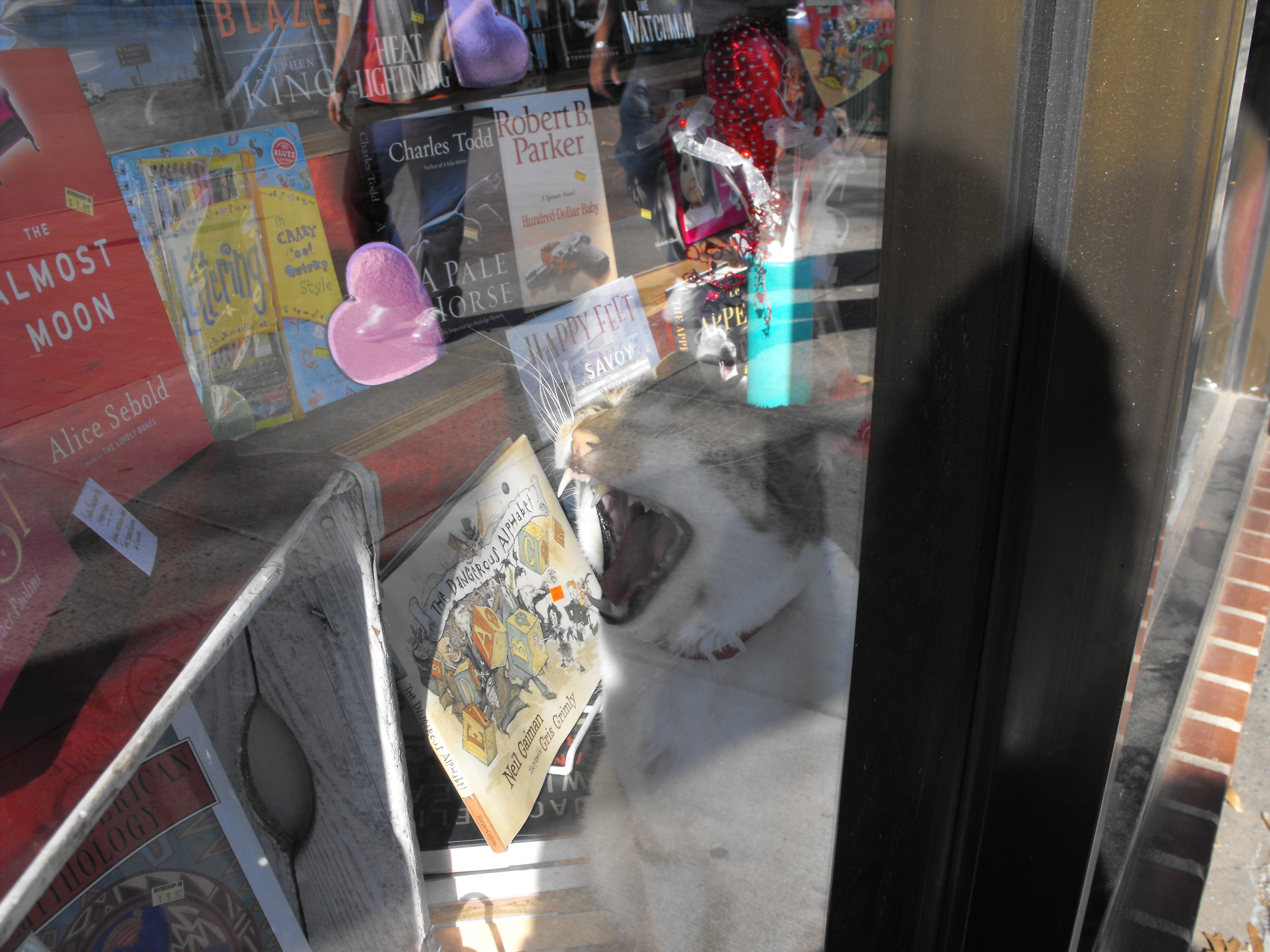 ./2009/Mimes on Franklin/Mimes on Franklin st0016.JPG